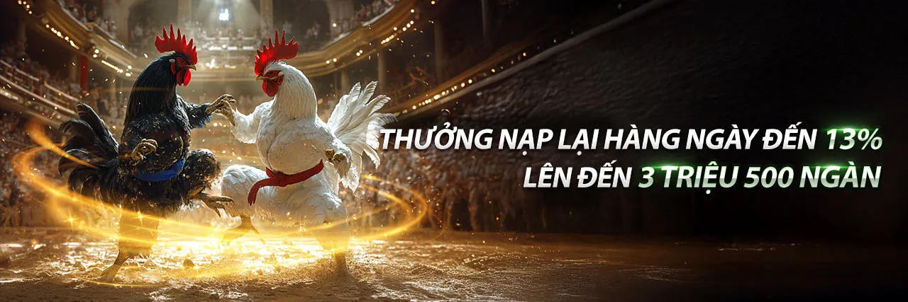 Tin tức mới nhất từ ibet188 trang chủ chính thức