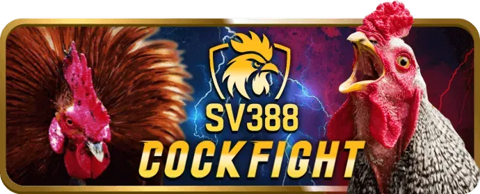 Phần câu hỏi thường gặp về chương trình VIP ibet188